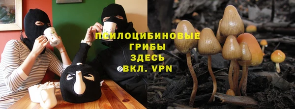 2c-b Абдулино